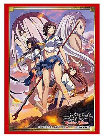 Ikki Tousen: Western Wolves Character Sleeves HG Vol.2117