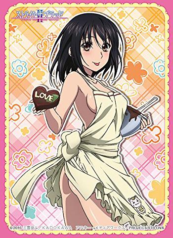 Strike the Blood Yukina Himeragi Character Sleeves 80CT Apron Ver.