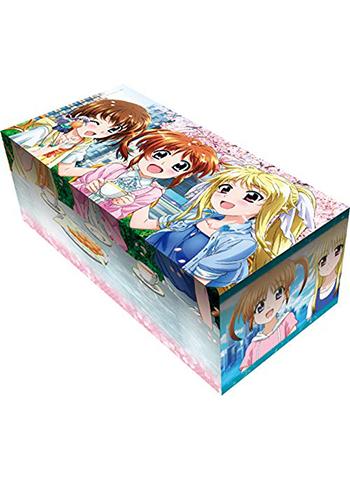 Magical Girl Lyrical Nanoha Reflection Fate Hayate Character NEO Storage Box w/Dividers