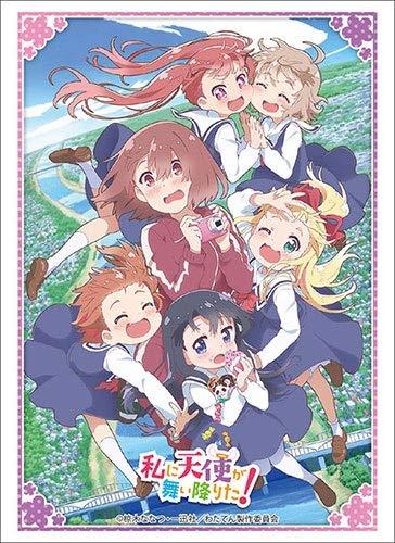 Wataten!: An Angel Flew Down to Me Full Cast Character Sleeves HG Vol.1984