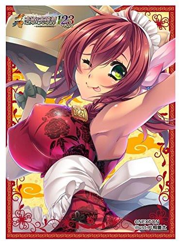 Rian Sleeves Nexton Girls Shin Koihime Eiyuutan