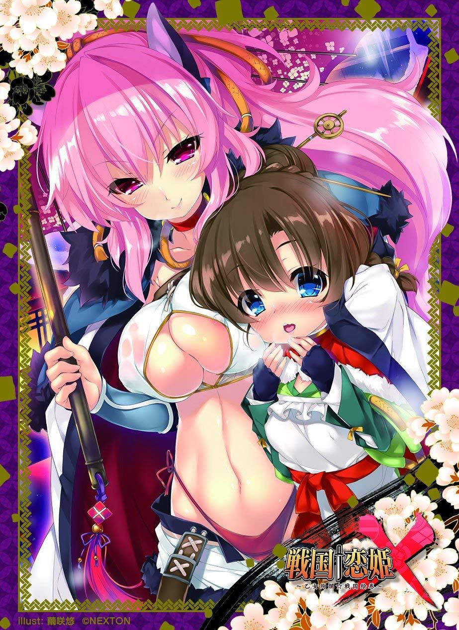 Sengoku Koihime X Nexton Girls Kasuga & Kokoro Sleeves Vol.088