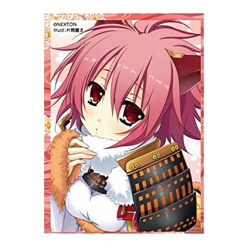 Sengoku Koihime Nexton Girls Hikari Character Sleeves Vol.040