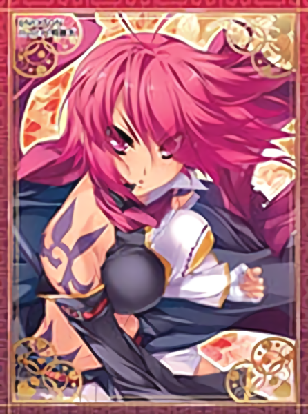 Shin Koihime†Eiyuutan Nexton Girls Ryofu/Ren Character Sleeves Vol.049